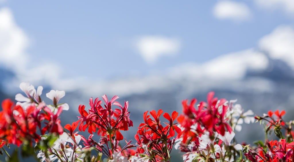 Artemis Easy Stay Self Check In-Out Saas Fee 외부 사진